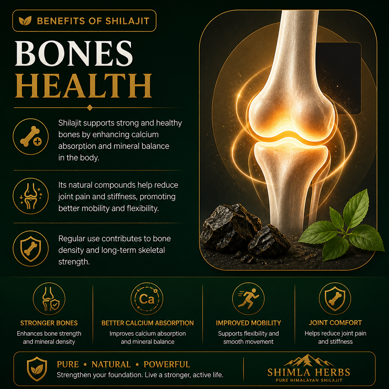 Stronger Immune System